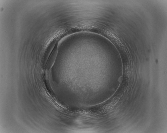 X0000086880735200704231102