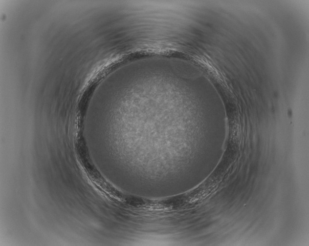 X0000086880736200704231102