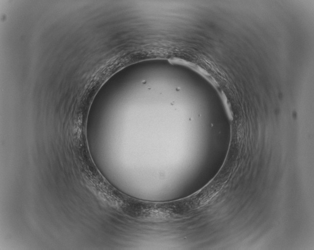 X0000086880737200704231102