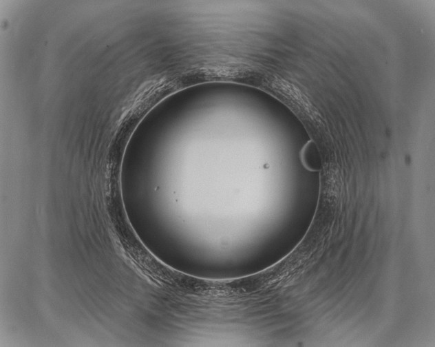 X0000086880738200704231102