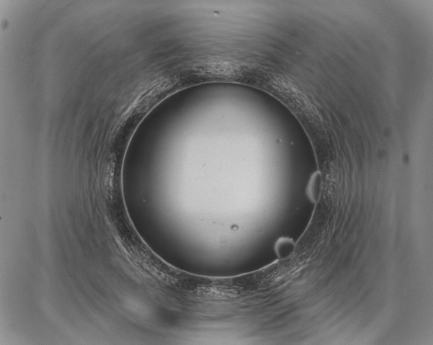 X0000086880739200704231102