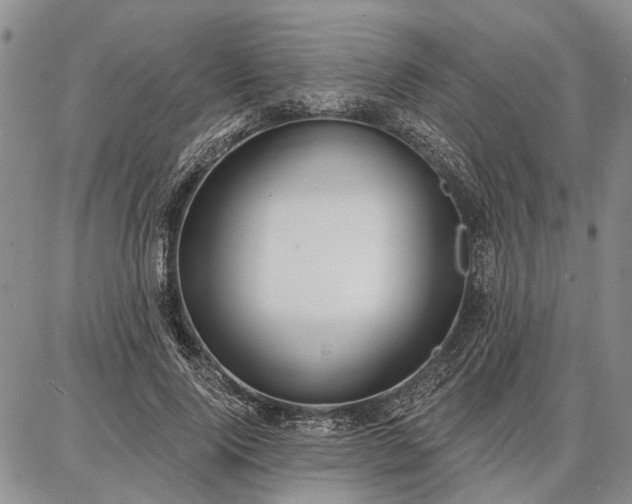 X0000086880740200704231102