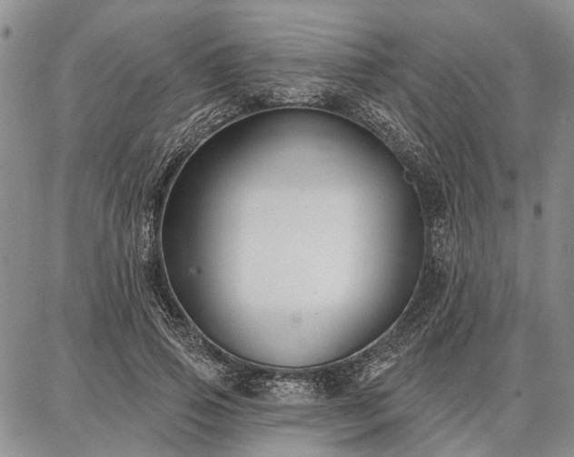 X0000086880741200704231102