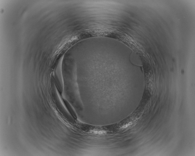 X0000086880742200704231102