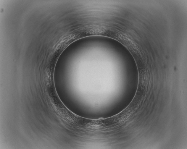 X0000086880743200704231102