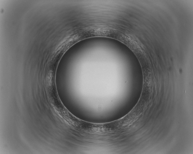 X0000086880744200704231102