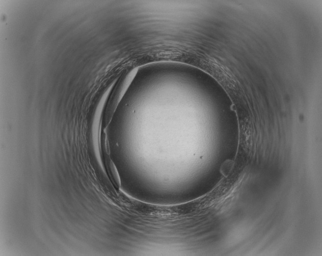 X0000086880745200704231102