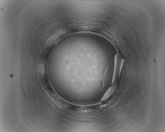 X0000086880746200704231102