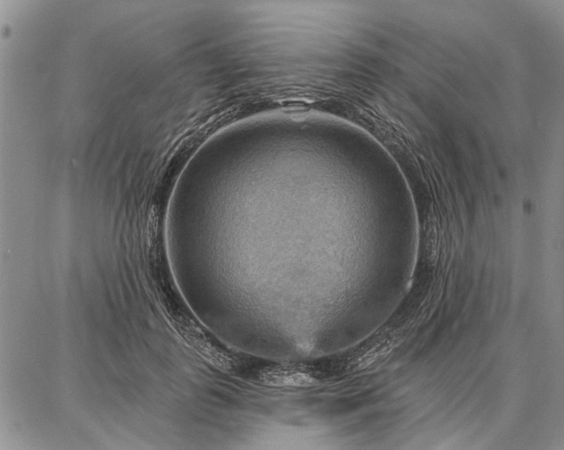 X0000086880747200704231102