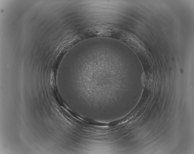 X0000086880748200704231102