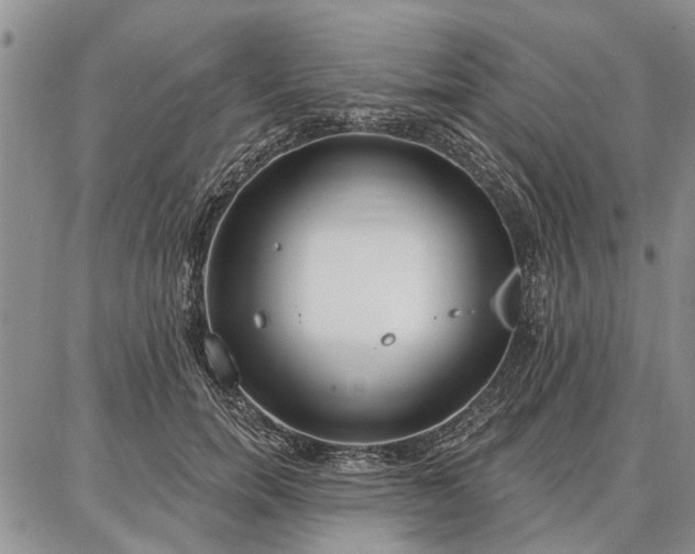 X0000086880750200704231102