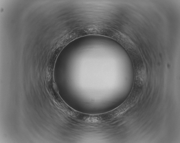 X0000086880751200704231102