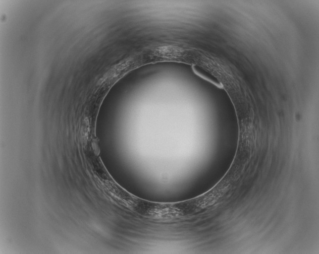 X0000086880752200704231102