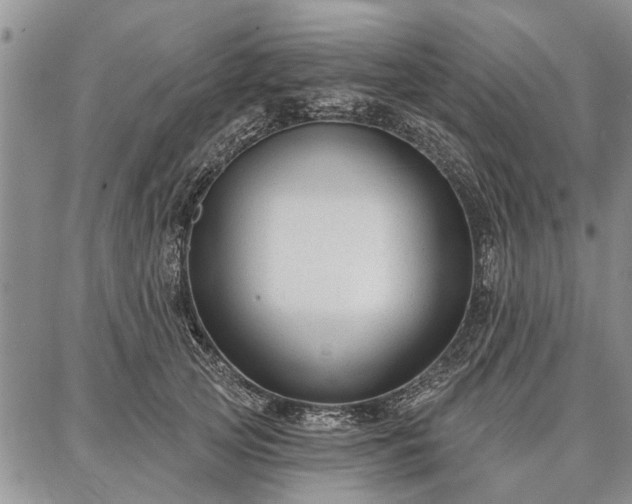 X0000086880753200704231102