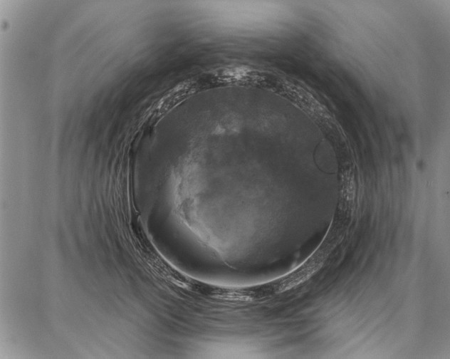 X0000086880754200704231102