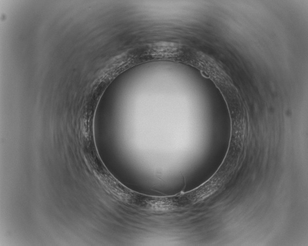 X0000086880755200704231102