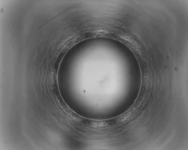 X0000086880757200704231103