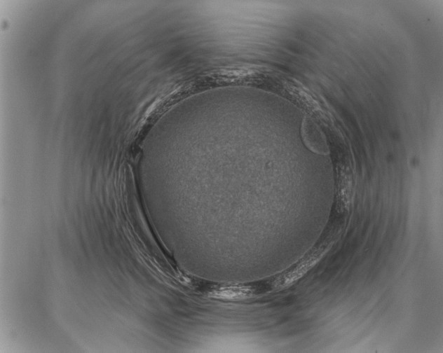 X0000086880758200704231103