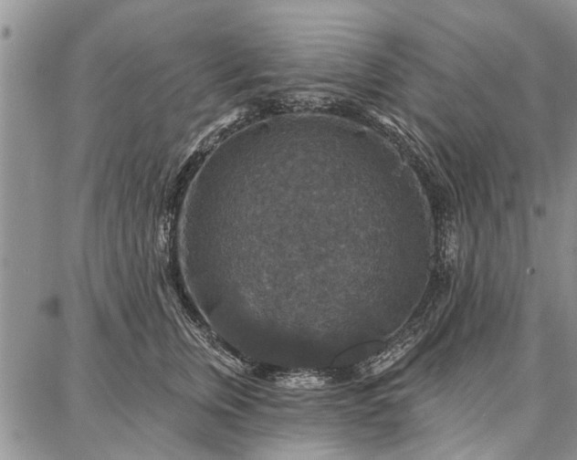 X0000086880759200704231103