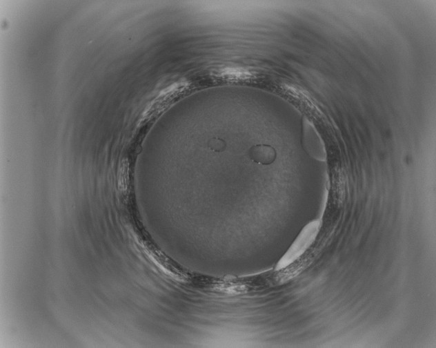 X0000086880760200704231103