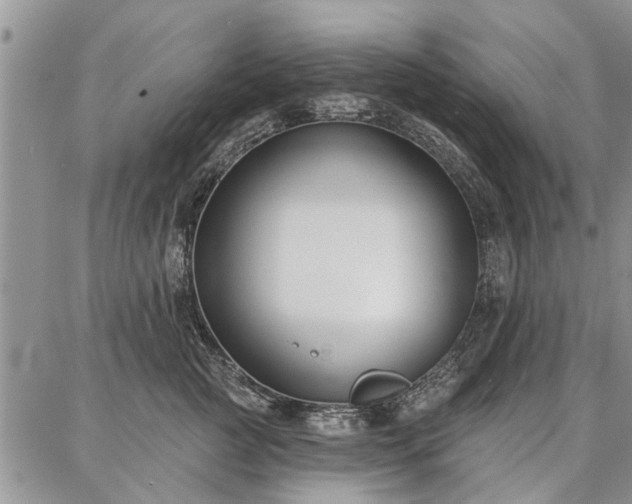 X0000086880761200704231103