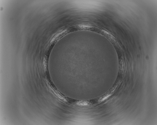 X0000086880762200704231103