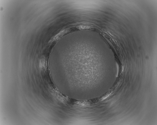 X0000086880763200704231103