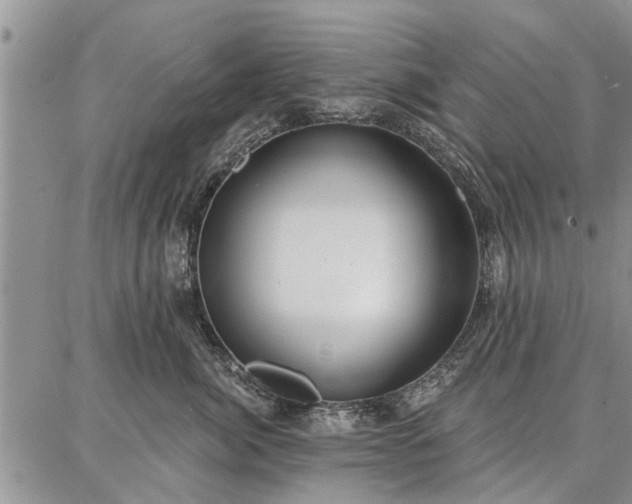 X0000086880764200704231103