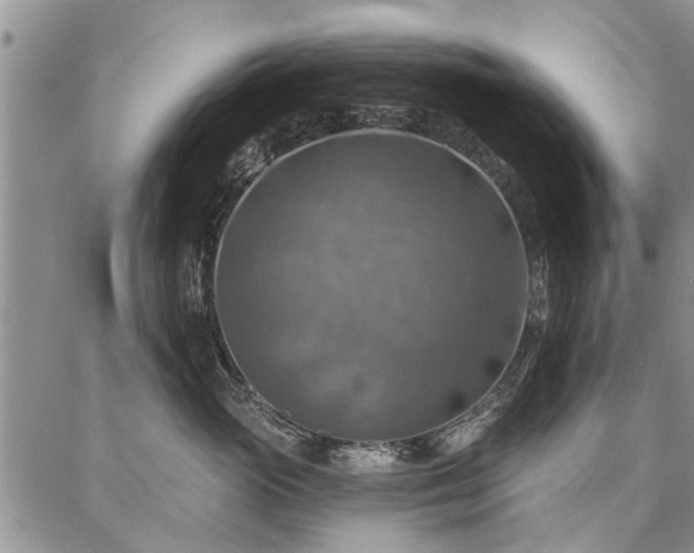 X0000086880765200704231103