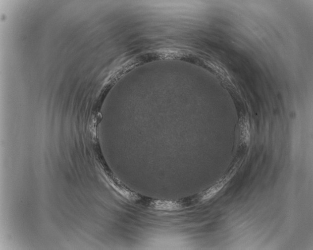 X0000086880766200704231103