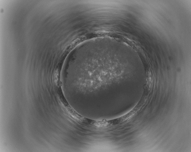 X0000086880767200704231103