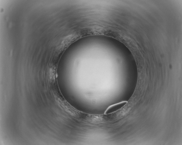 X0000086880768200704231103