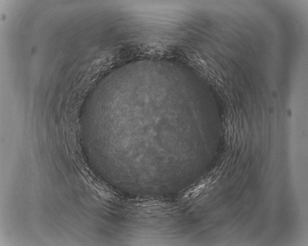 X0000086880769200704231102