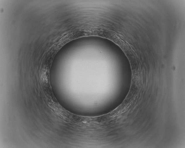 X0000086880770200704231102