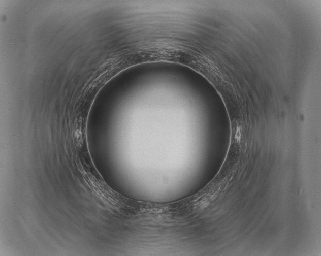 X0000086880771200704231102