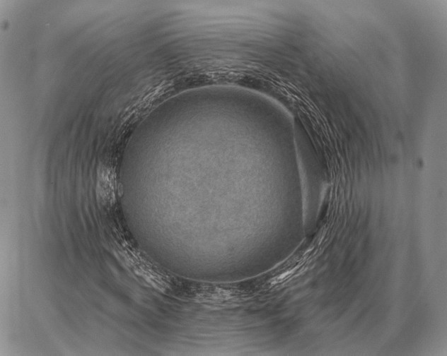 X0000086880772200704231102