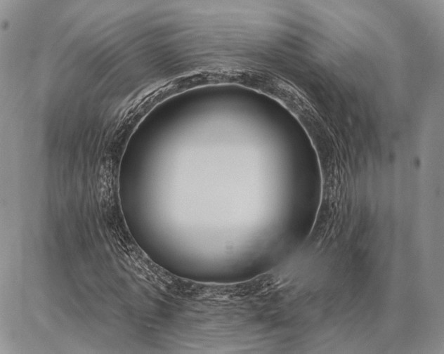 X0000086880773200704231102