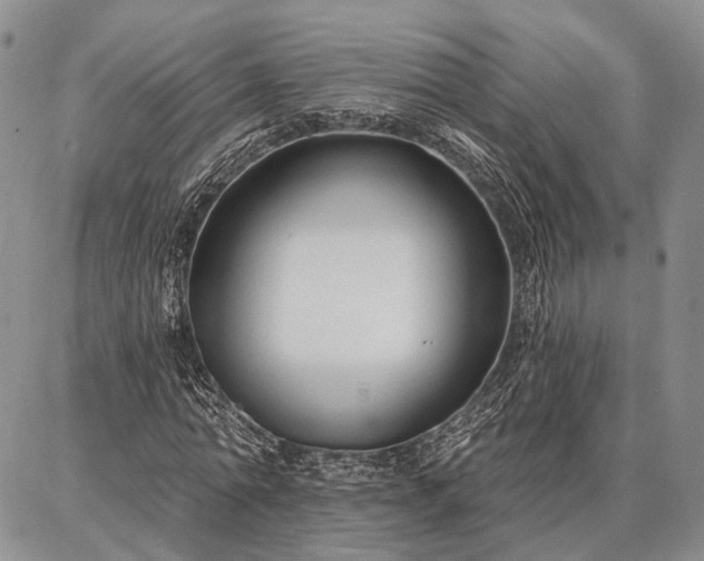 X0000086880774200704231102