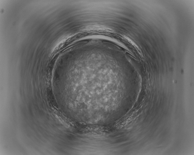 X0000086880775200704231102