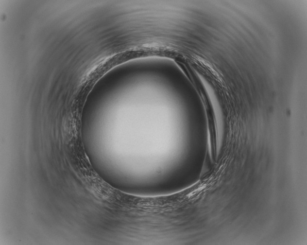 X0000086880776200704231102