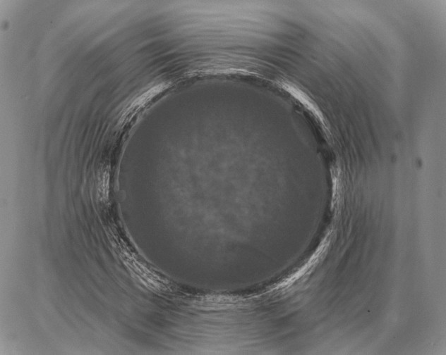 X0000086880777200704231102