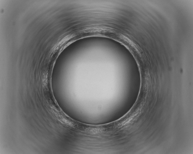 X0000086880778200704231102