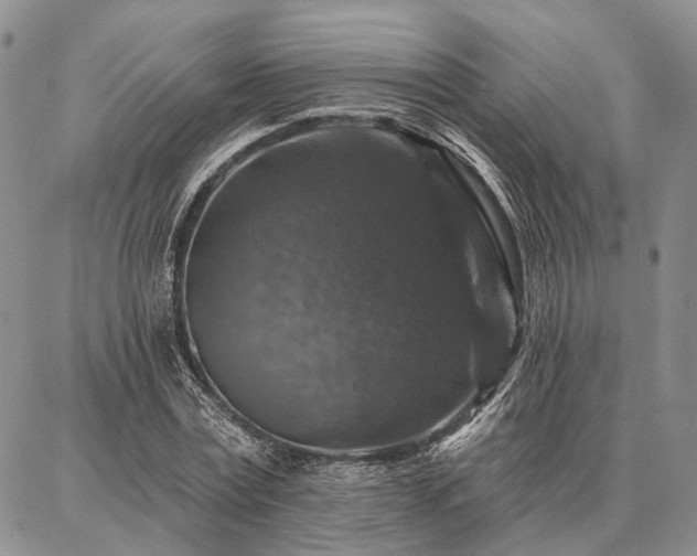 X0000086880779200704231102