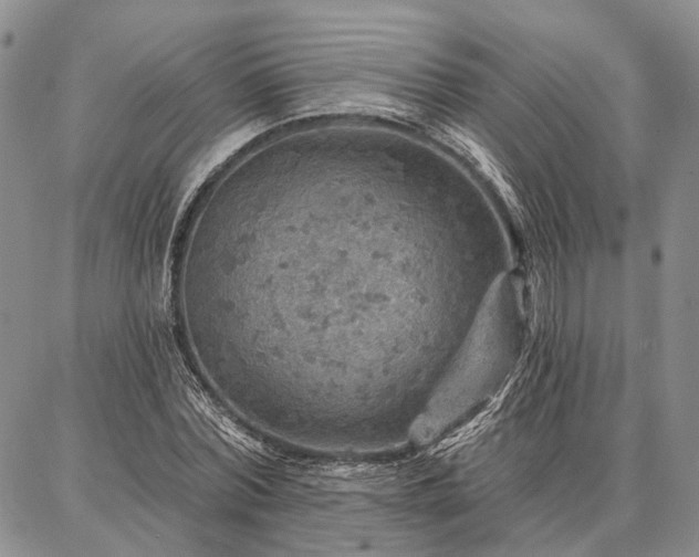 X0000086880780200704231102