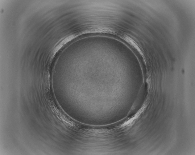 X0000086880781200704231102