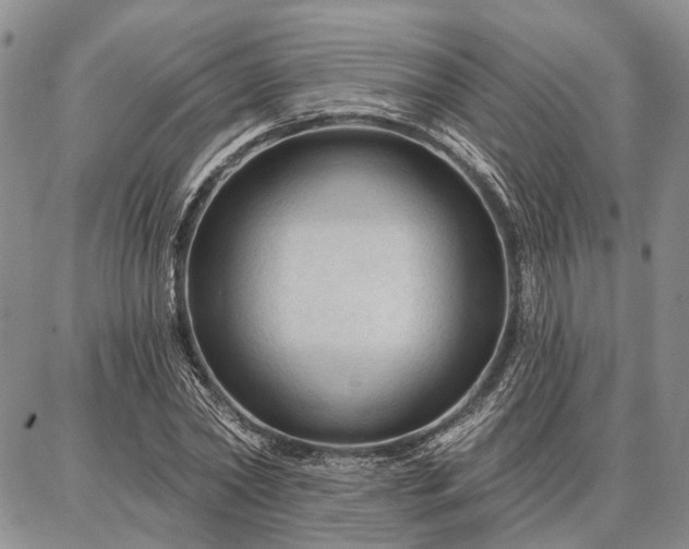 X0000086880782200704231102