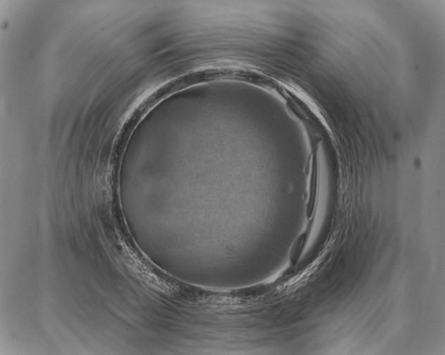 X0000086880783200704231102