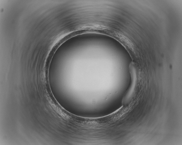 X0000086880784200704231102