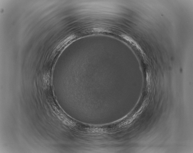 X0000086880785200704231102