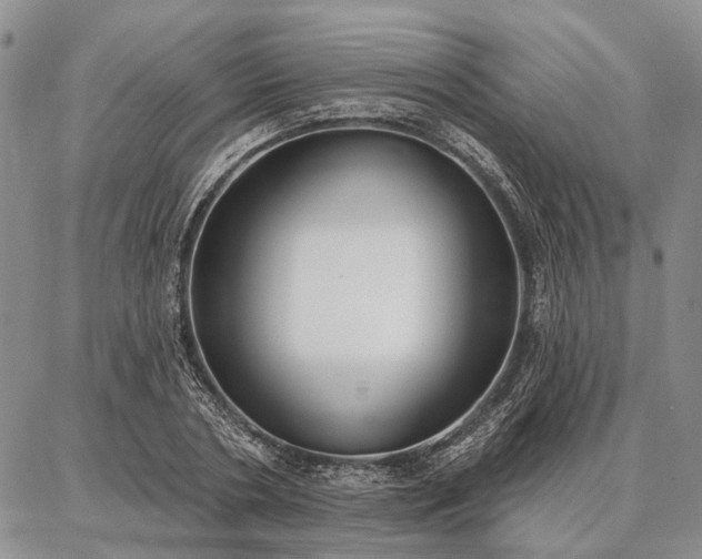 X0000086880786200704231102